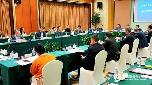 攜手云陽，數據賦能 重慶科技服務大市場助力大數據產業招商新篇章